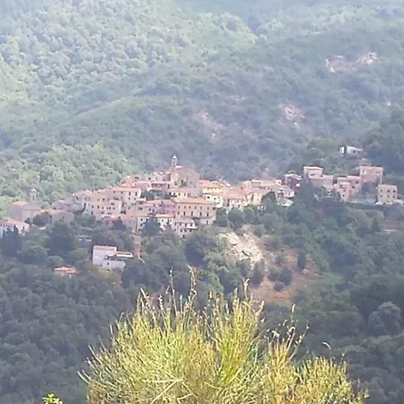 아파트 La Casalina Dell'elba